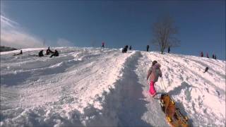 Sledding Videos-Blizzard 2016