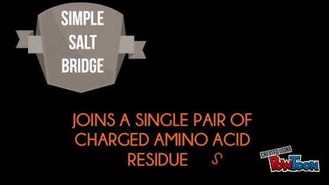 Salt bridge in Protein