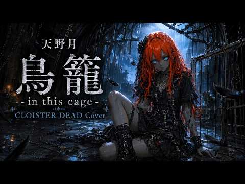 MAX4592 - YouTube
