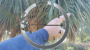 How to properly prune a palm tree. What you need to know