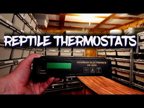 best thermostat for snake rack