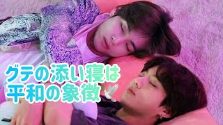 【BTS グクテテ】平和の象徴 グテが寝てる時🐰🐻 taekook