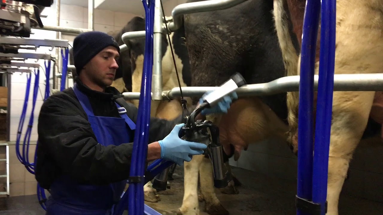 POLANES SWING OVER 2X10