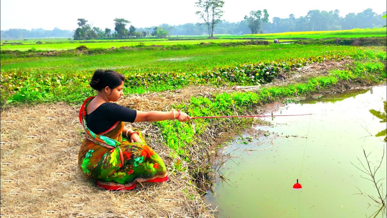 Fishing video ✅ The unbelievable big fish catching with a hook in the field canal || Hook fishing