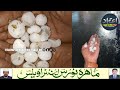 Sudden Rain and Hailstorm in Several Telangana Districts Damage Crops
