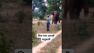 Download Lagu #hathi ko bhagane wala bahubali.. 🔥 #intertenment MP3 Download Lagu #hathi ko bhagane wala bahubali.. 🔥 #intertenment MP3