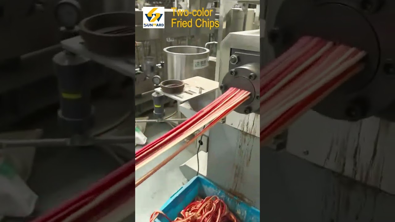 Two-color Fried Chips Production 