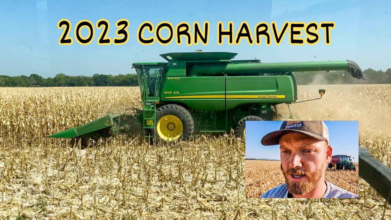 CORN HARVEST 2023  A Record Crop? 