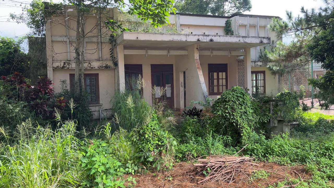 Самый ЖУТКИЙ заброшенный дом, который мы когда-либо убирали — деревья поглотили его