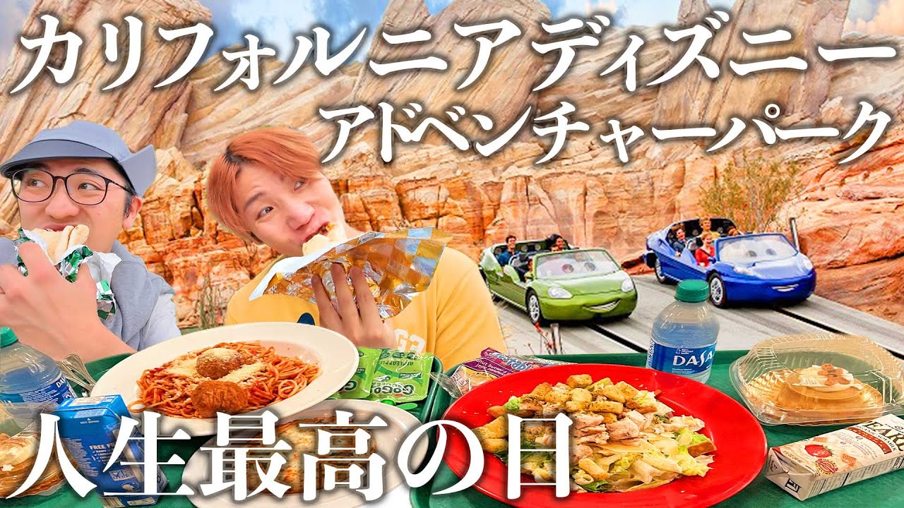 【人生で最高の日】カリフォルニアディズニーアドベンチャーパークでアトラクション全制覇！？フード食べ歩き！グリーティングにグッズ大量購入で詰んだ！！！！