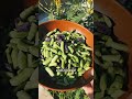 Garden to table dinner  snap peas  snow peas galore gardentotable todaysharvest organicgarden