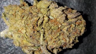 STRAIN REVIEW ON ~ COOKIES 'N' CREAM