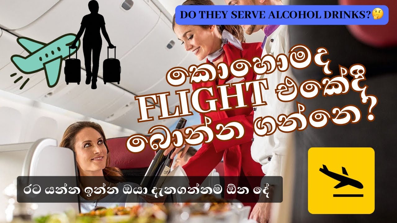 Flight එකේදී දෙන බීම ජාති ✈️🍷| Drinks on Flights | Liquor, Wine & Soft Drinks