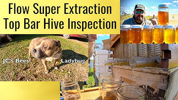 The Learning Yard & Suzy