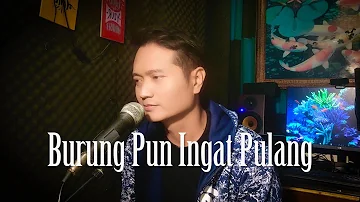 BURUNG PUN INGAT PULANG (Nia Daniati) - Andrey Arief (COVER)