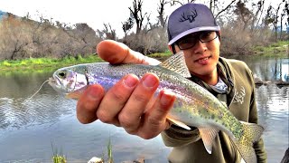 Kings river fly fishing! Dry fly fishing the drift less.