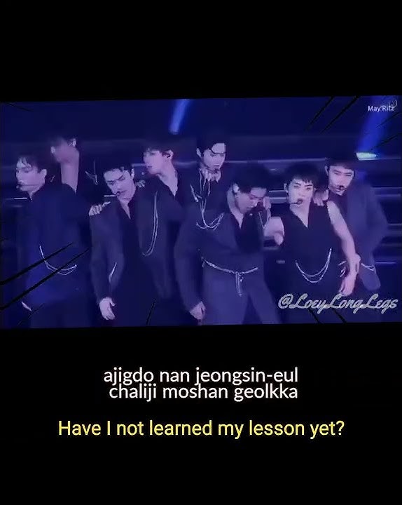 [EXO]🔥 - Up and down like a Roller-coaster (Going Crazy - Chanyeol Rap)