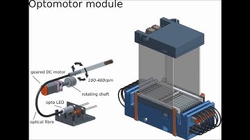 Ethoscopes: An open platform for high-throughput ethomics