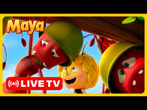 Maya helpt haar vriendin Hannah haar grote fout te herstellen π€ π Maya de Bij | Kinderseries