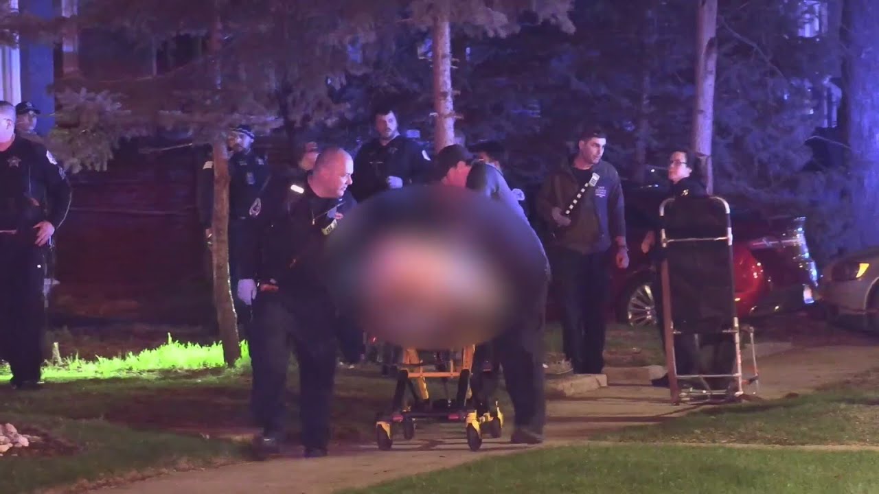 2 dead, 1 injured in South Shore shooting overnight - WGN News at 5 ...