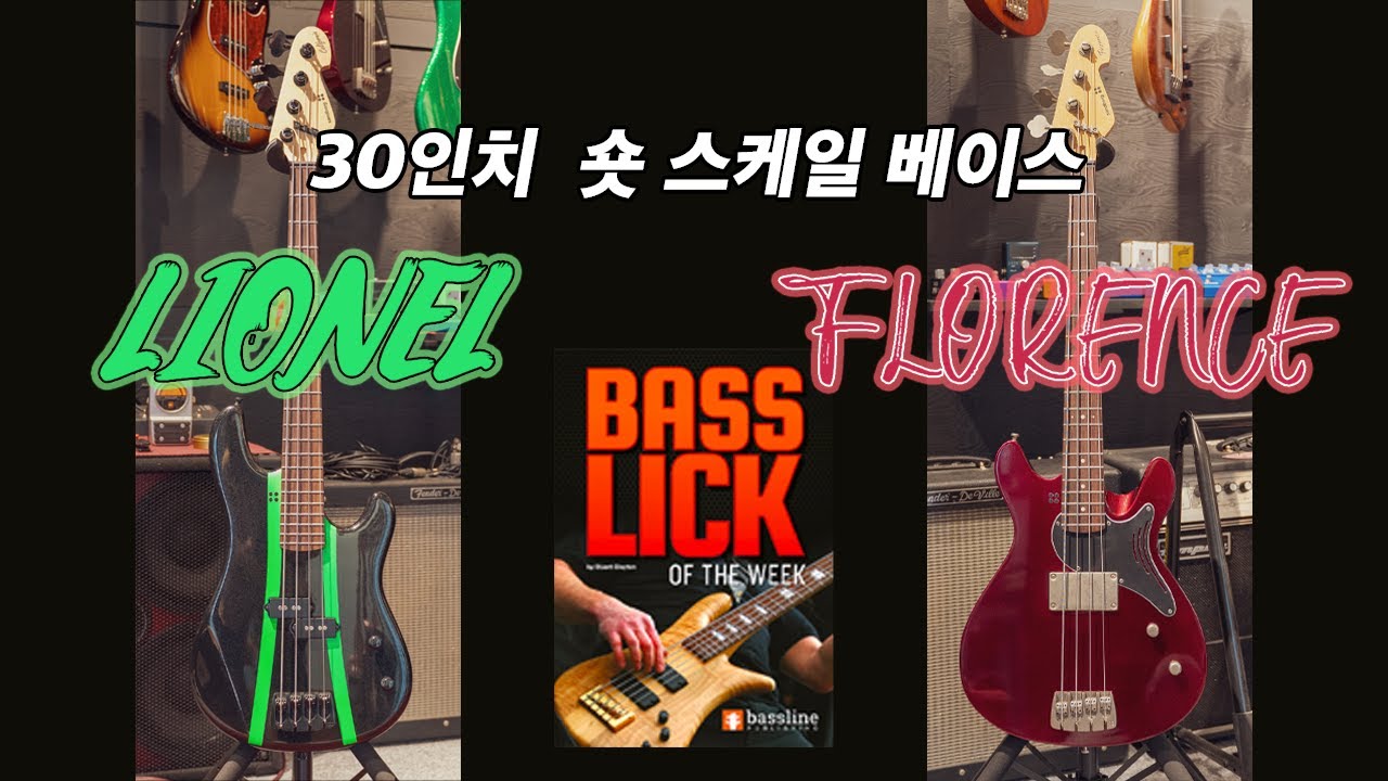 숏스케일의 시대도 오고 마는가? 30inch 베이스 전문점에는 있지