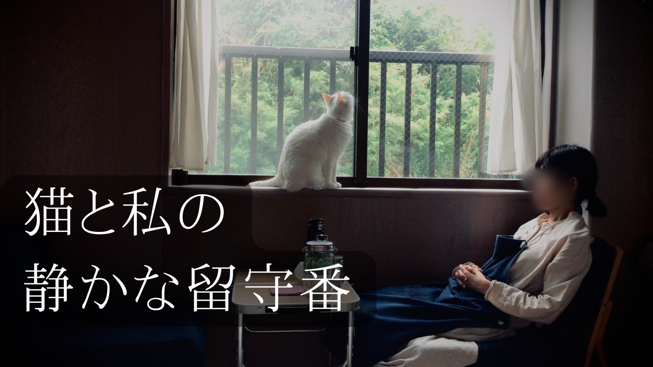 猫とお留守番の日｜ひとりで迎える静かな朝｜猫の洗顔と歯磨き #vlog #主婦 #yori暮らし
