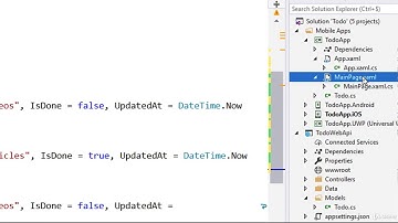 I want to connect my Xamarin Forms app to REST API : Implementing a static ListView