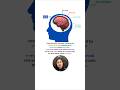 Human Brain | Structure &amp; Functions #neet #shorts #ytshorts #class11 #biology #study #exam #yt