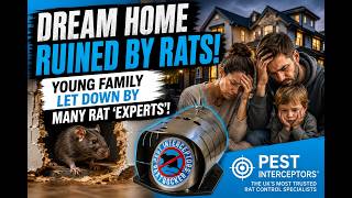 Full Dream Home Ruined By Rats! Young Family Let Down By Many Rat 'Experts'! Guide