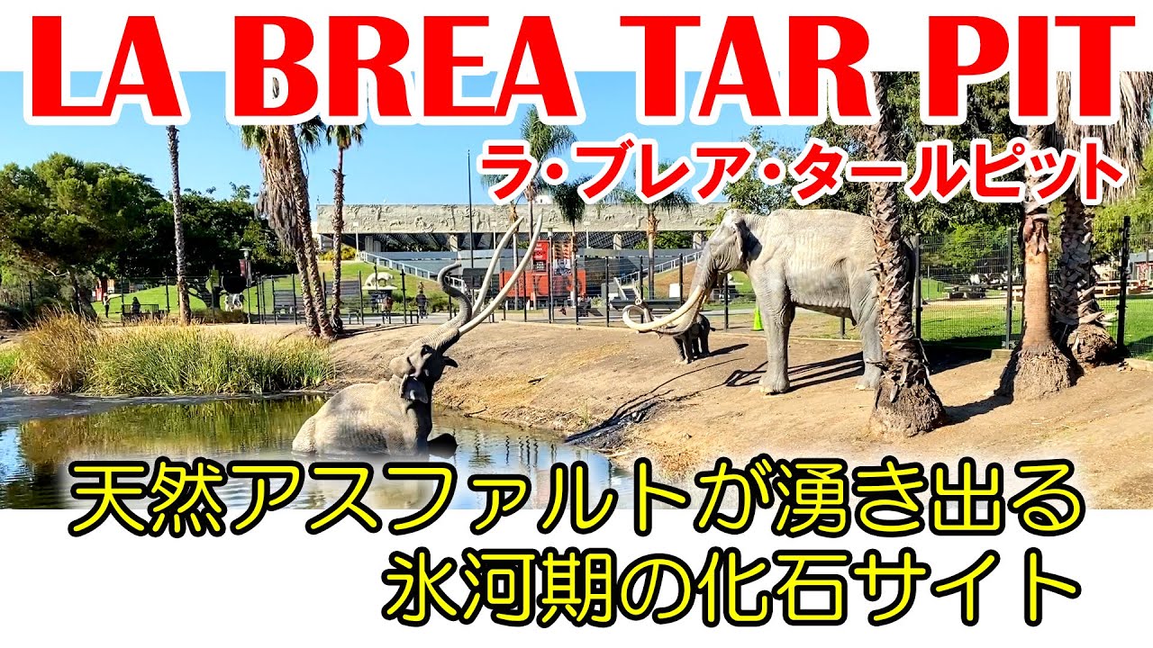 ロサンゼルスのど真ん中、天然アスファルトの湧出地「ラ・ブレア・タールピット」。氷河期の化石サイト La Brea Tar Pits