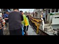 Live, Jumping Seafood Straight to You! Directly Caught by Fishing Boats – Prices Unbeatable by Super
