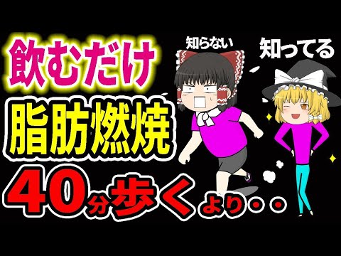 【脂肪燃焼】飲むだけで40分のウォーキングと同じ効果緑茶の驚愕効果＆効果倍増最強の飲み方【ゆっくり解説】