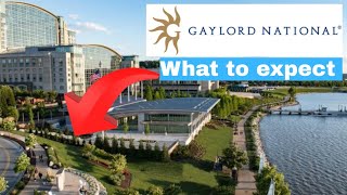 Everything around The Gaylord National Resort (National Harbor Walking Tour)