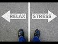 “Beat Stress Fast: 7 Easy Habits That Work”
