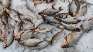 видео Рыбалка в Пудышах: Яузское водохранилище