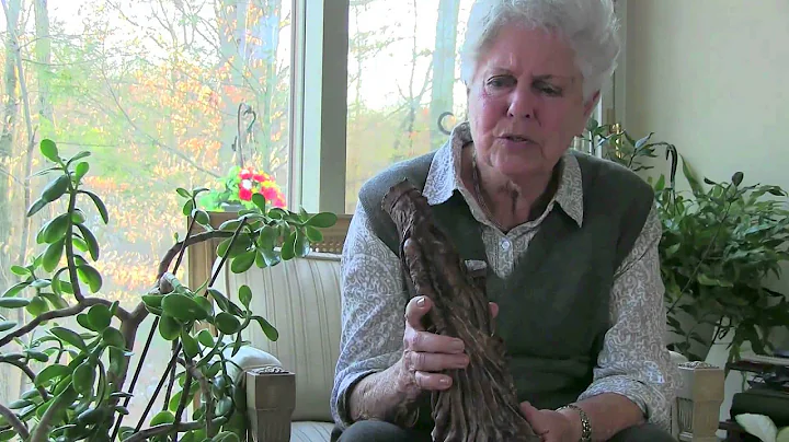 Copy of The Clay Sculptures of Margaret Hess-Glaub...