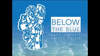 Below the Blue - Facebook Live Dive