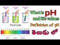 Ph  what is ph and its values in telugu definition of ph in telugu  gvr pharma tutorial