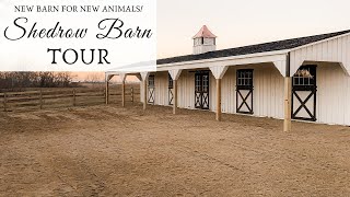 Our new Shedrow Barn for NEW ANIMALS! | V