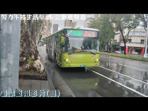 大臺北市區公車特輯 24