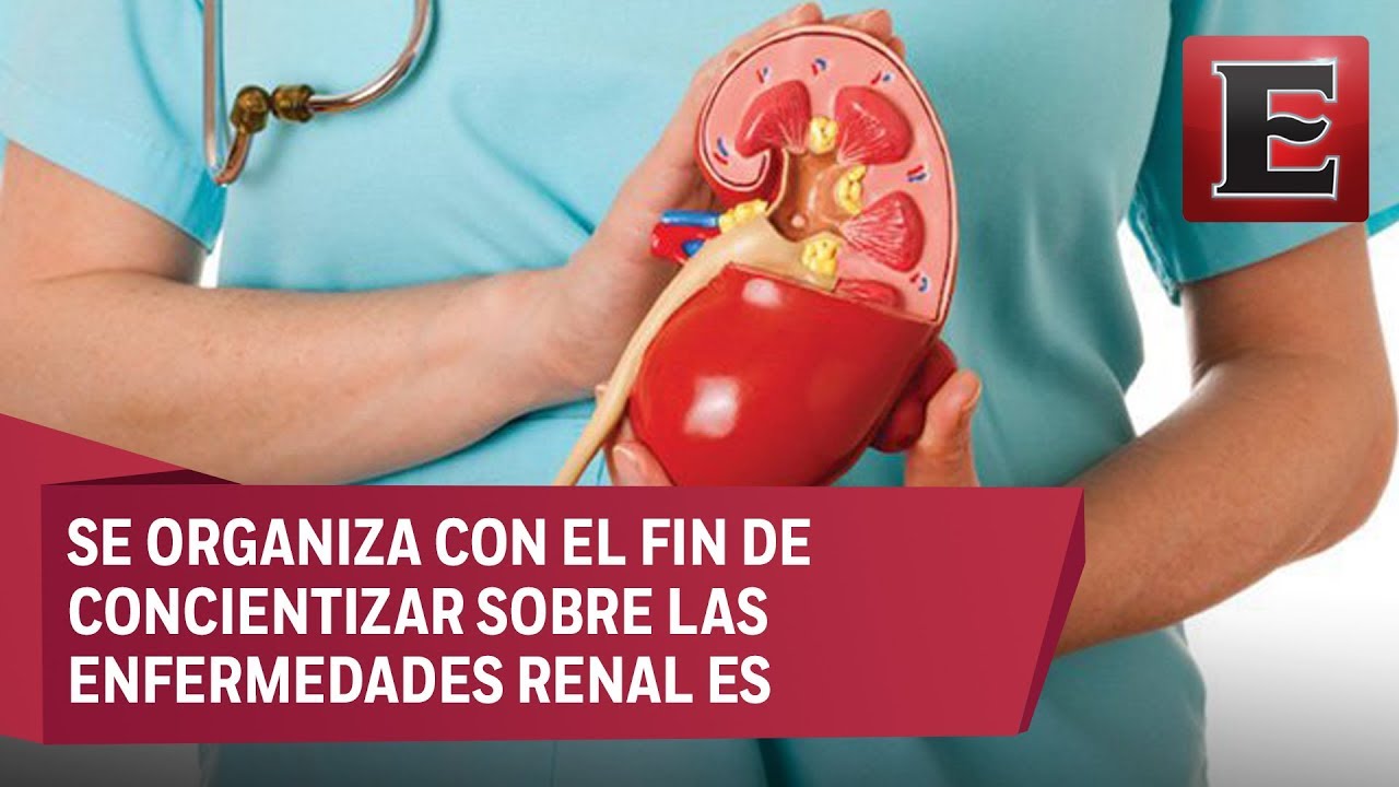 Conmemorarán el Día Mundial del Riñón con perspectiva de género