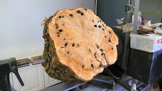 Woodturning  The Terrible Termite Log!