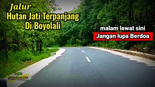 jalur alas / hutan jati terpanjang di boyolali