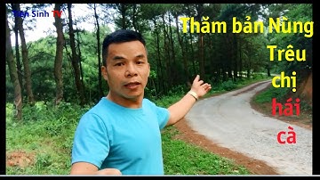 Thăm Bản Người Nùng (P.2): Trêu chị hái cà chua
