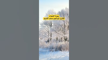 مقطع قصير وممتع من سورة (الشعراء) للقارئ /إبراهيم محمد الشيخ