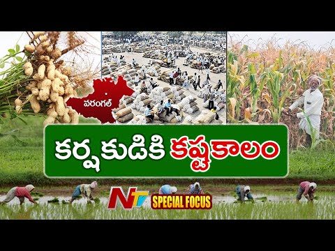Special Focus On Problems Facing By Farmers In Warangal | NTV Telugu - NTVTELUGU
