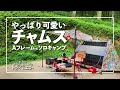 【ソロキャンプ第27弾】久々!やっぱり可愛いチャムスのAフレームテントで夏キャンプin北山キャンプ場【かんれきガールのトライ& エラー#63】
