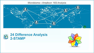 24Difference Analysis 2-STAMP