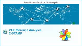 24Difference Analysis 2-STAMP