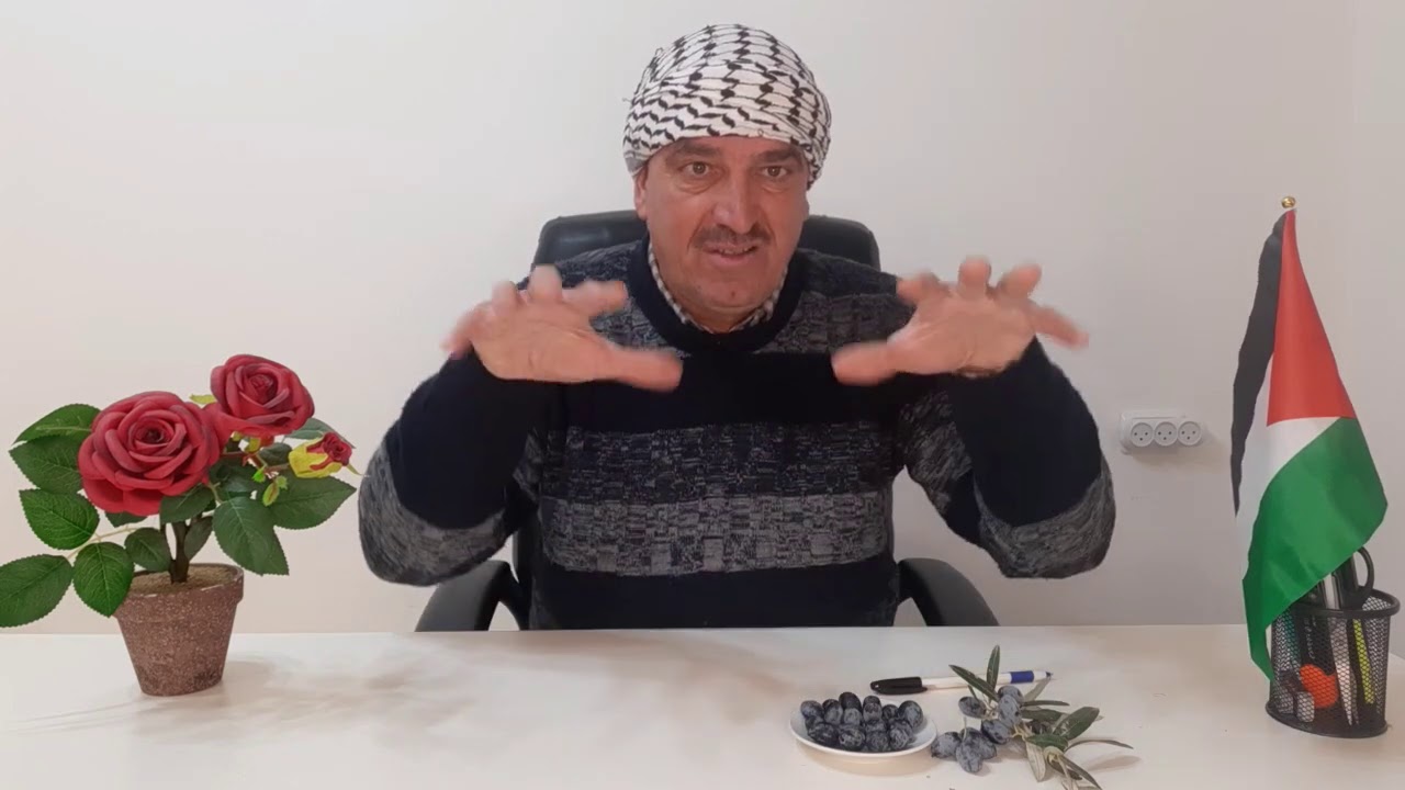 Barnea olive k18 . زيتون بارنيع  K18